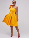 1121011YELLOW_2_900x.webp