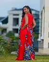 Kaplong Red 2.webp